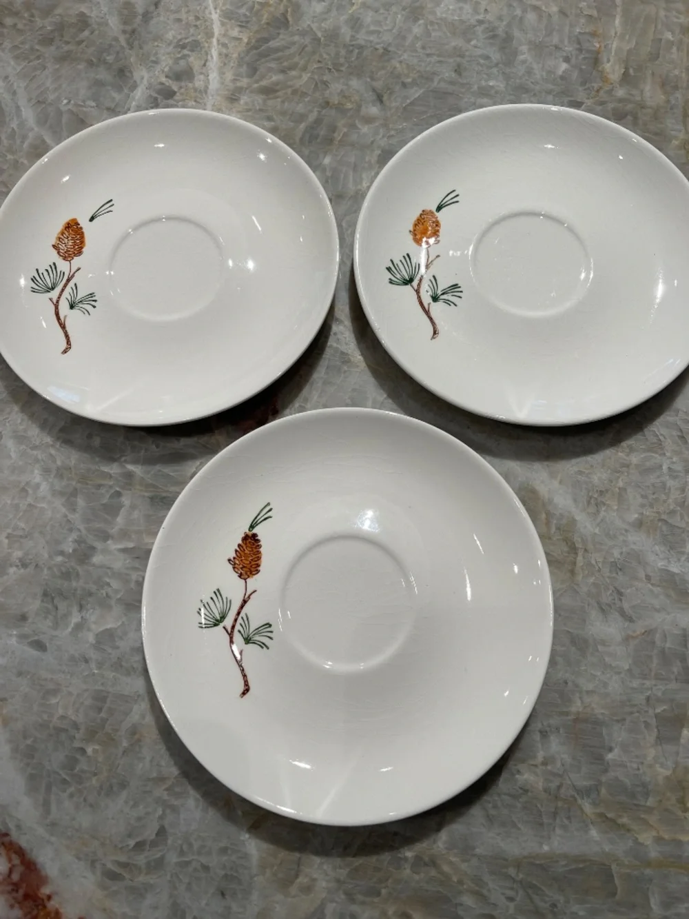 Stetson Marcrest~Vintage Misty Pine ovenproof hand painted underglaze saucers